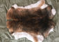 30 * 40cm Rex Tavşan Kürk Derileri Sıcak Yumuşak, Doğal / Boyalı Renkli Şinşilla Reeksi Kürk Tedarikçi