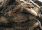 Doğal Renkli Raccoon Kürk Yaka Ham Kabuk A Grade 70 - 105cm Konfeksiyon / Ev Tekstili için Tedarikçi