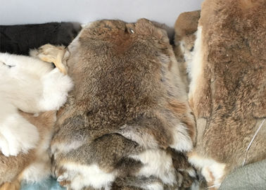 Çin Kürklü Astar Tüm Rex Tavşan Cildi Gerçek Yumuşak Kabarık Ağır Yoğunluk Tedarikçi