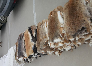 Çin Coat Lining Aksesuarları Rex Tavşan Cilt Pürüzsüz Doğal Kahverengi Renk 25 * 35cm Tedarikçi