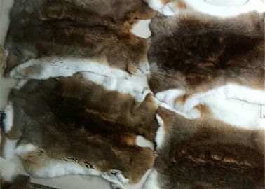 Çin Kabarık Peluş Tavşan Cildi, Ev / Hastane / Otel için Sıcak Yumuşak Boyalı Renk Atın Tedarikçi