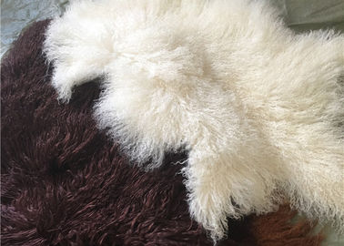Çin Uzun kıvırcık Sheepskin Malzeme Doğal Beyaz Tibet lambswool Moğolca kürk deri Tedarikçi