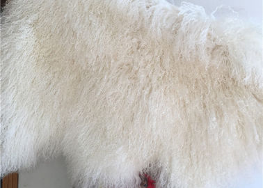 Çin % 100 Sheepskin Doğal Uzun saç Moğol Kuzu derisi Krem Beyaz Kıvırcık kürk halı Tedarikçi
