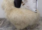 Gri Uzun Kıvırcık Saç Moğolistan Sheepskin Halı Oturma Odası 2 * 4 Ayaklı Boyut Tedarikçi