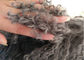 Oturma Odası 16 inç Moğolistan Kürklü Yastık Uzun Kıvırcık Saçlı, Mikro Süet Kaplamalı Tedarikçi