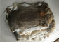 Evde Tekstil / Yastıklar İçin Eko Dostlu Haşlanmış Rex Tavşan Cildi 1.5-3 Cm Kürk Uzunluğu Tedarikçi