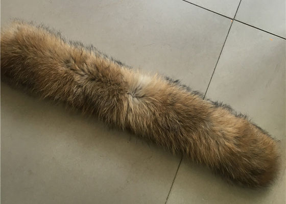 Yumuşak rakun kürk tasması Tedarikçi