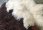 Uzun kıvırcık Sheepskin Malzeme Doğal Beyaz Tibet lambswool Moğolca kürk deri Tedarikçi