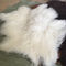 Tibet lateksli halı Uzun saç Sheepskin Boyalı Moğol kuzu kürk plakalı halı Tedarikçi